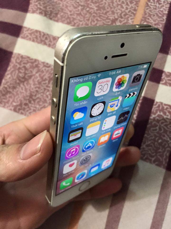 12642944_1309608752398342_7959050259742015338_n.jpg