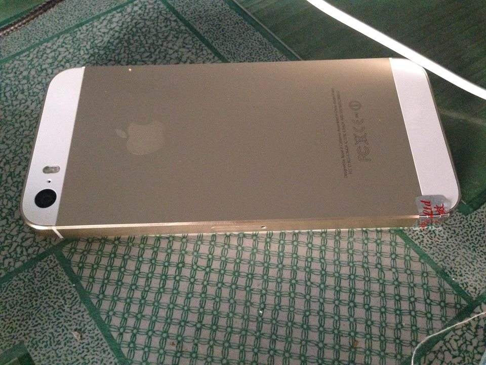 12647867_480145685525676_1346075923_n.jpg
