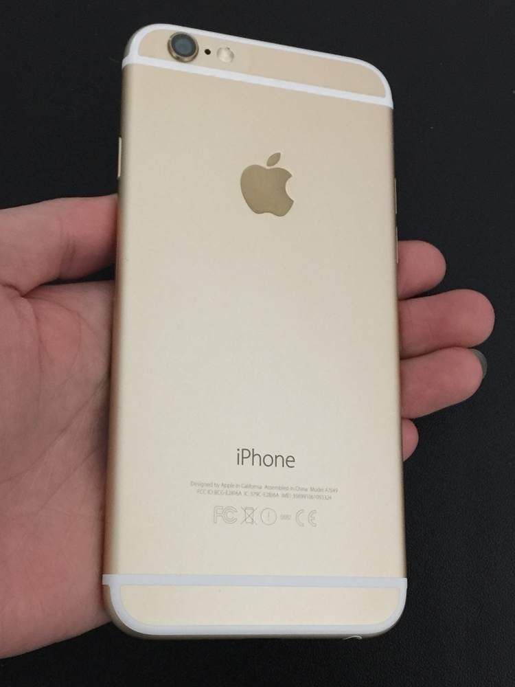 .6gold 64 1.JPG
