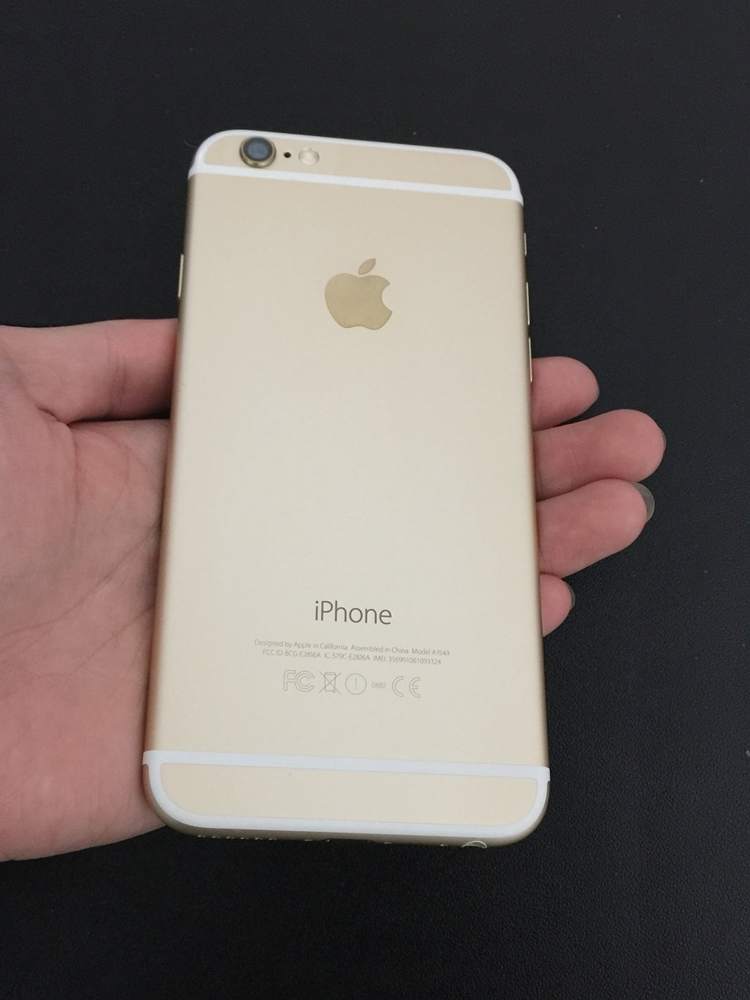 .6gold 64 3.JPG