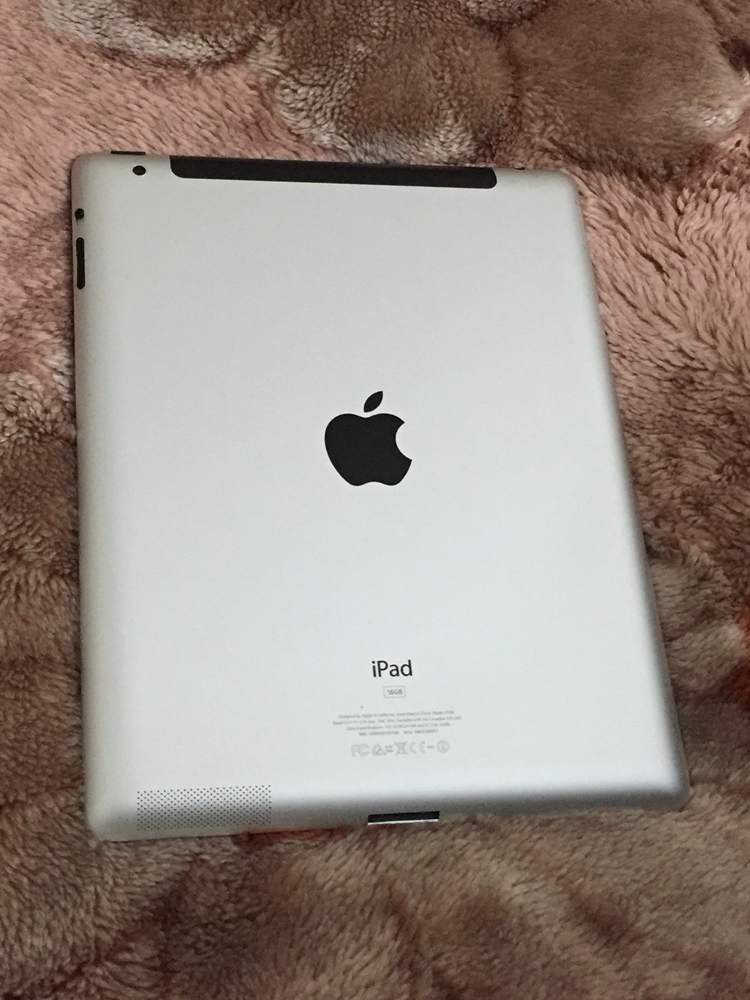 .iPad 2 mop 1.JPG