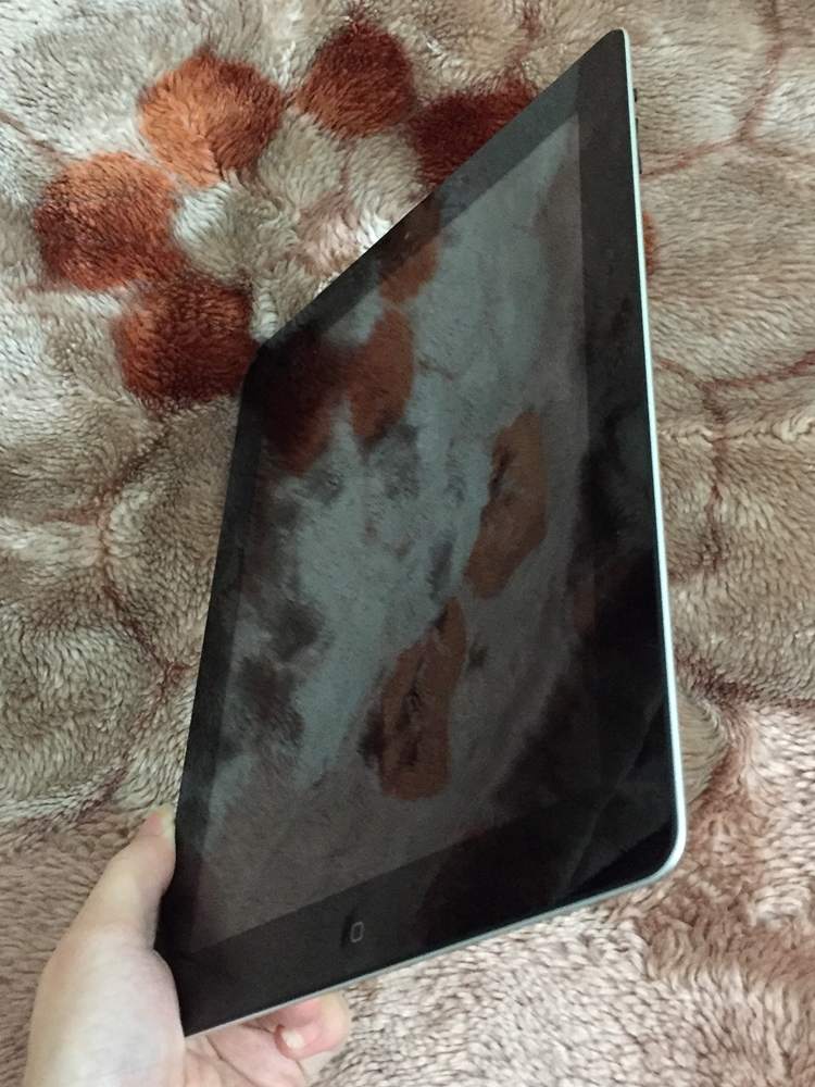 .iPad 2 mop 2.JPG