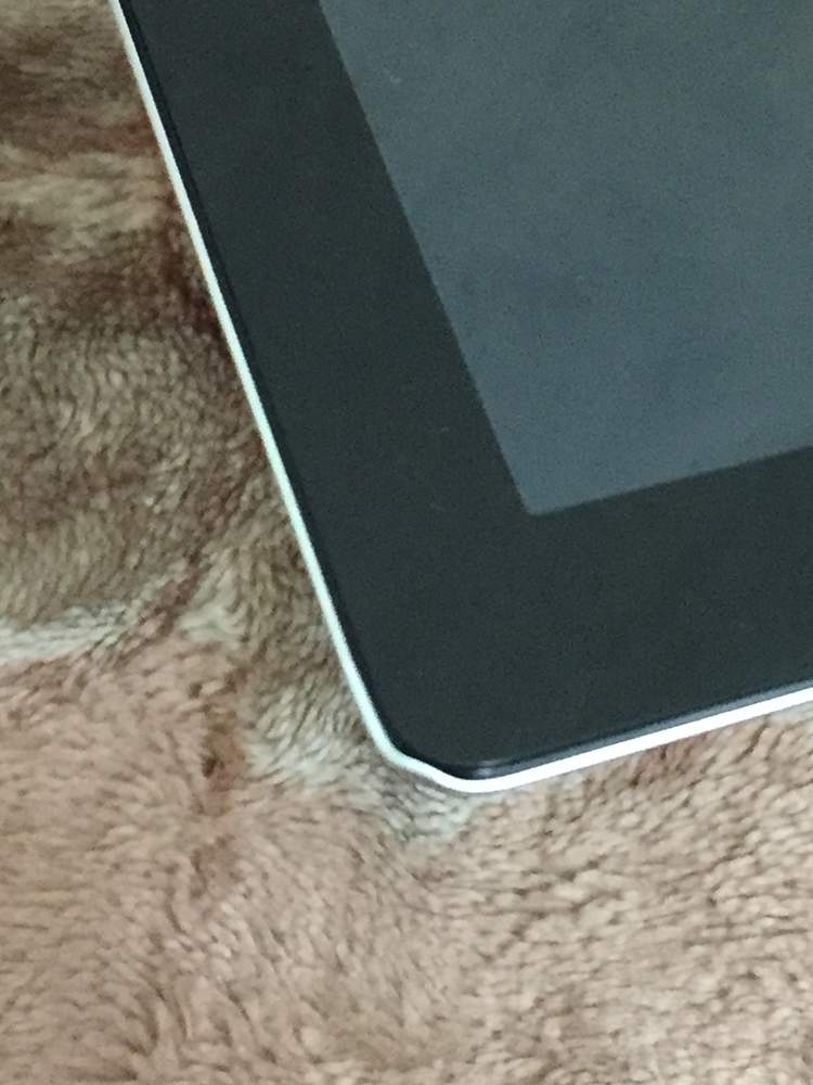 .iPad 2 mop 3.JPG