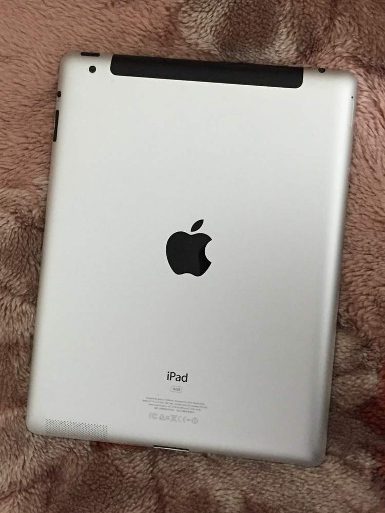 .iPad 2 mop 4.JPG
