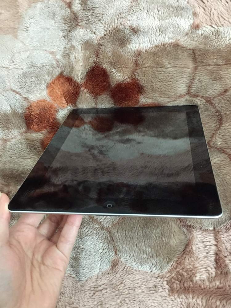 .iPad 2 mop 5.JPG