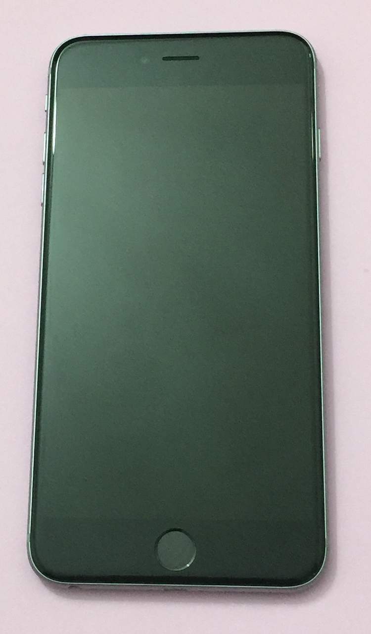 .6plus16 T8 1.JPG