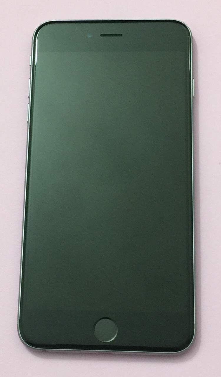 .6plus16 T8 3.JPG