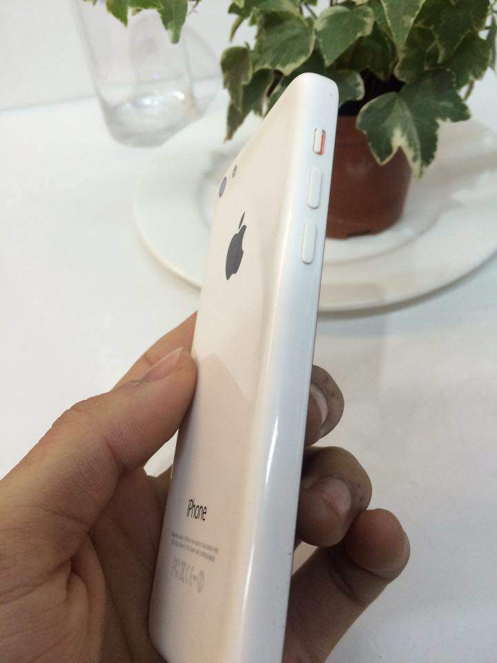 12647620_582433688577840_1200860080_n.jpg