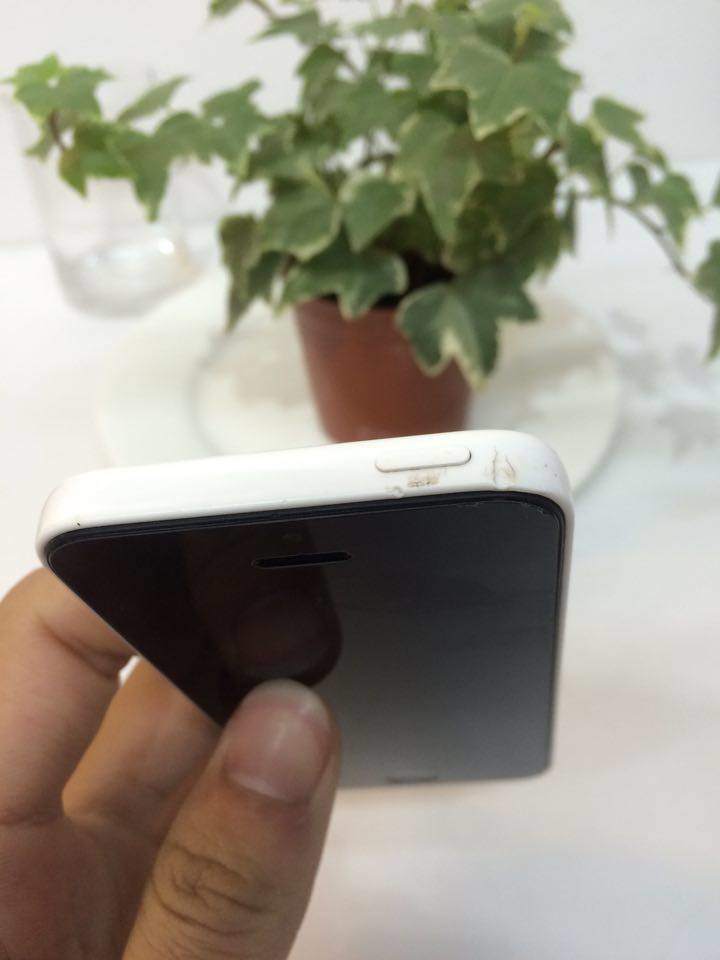 12674411_582433685244507_1318434538_n.jpg
