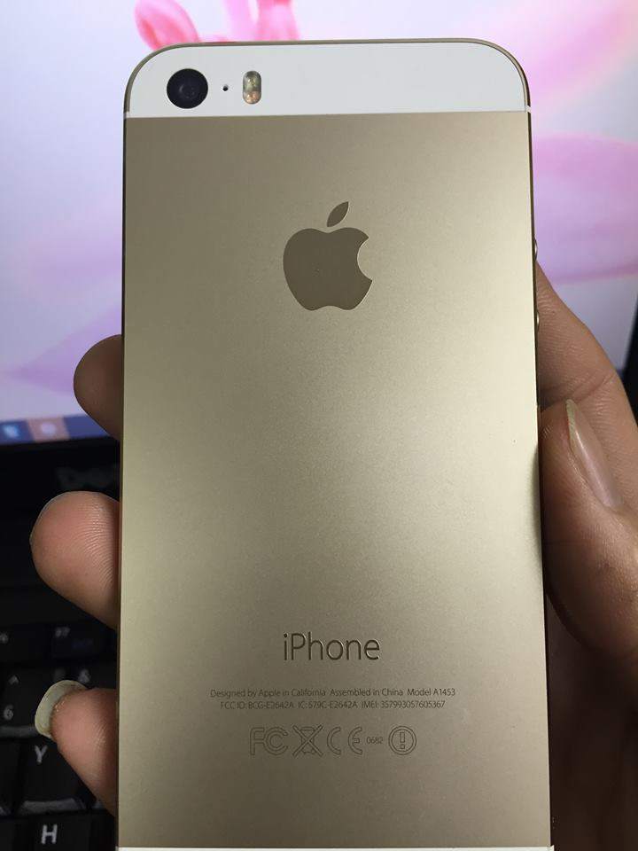 12625835_767238373409814_139033157_n.jpg