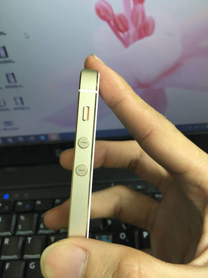 12647748_767238346743150_1560665889_n.jpg