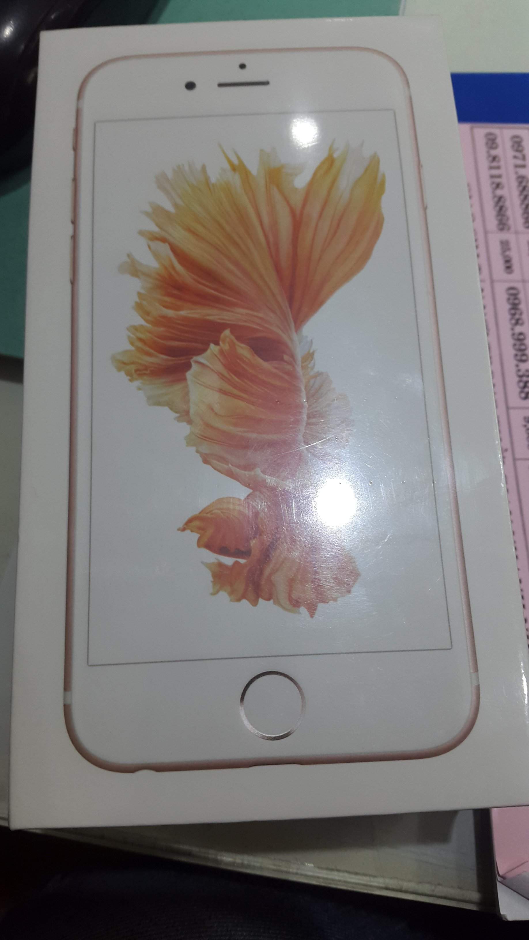 ip6[1].jpg