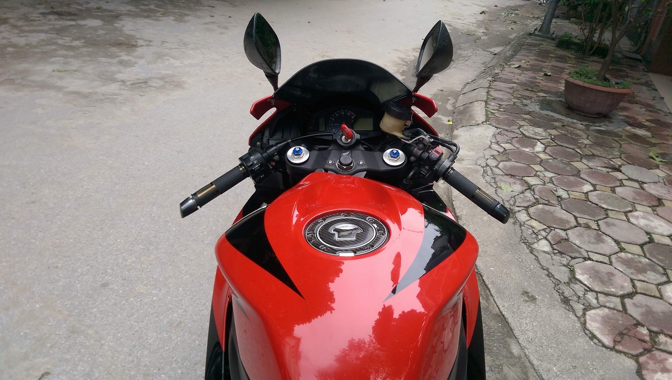 IMAG4564.jpg