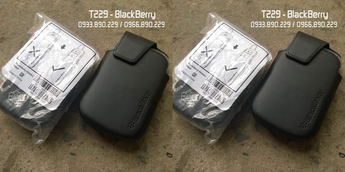 Bao Deo Zin - 99B-horz.jpg