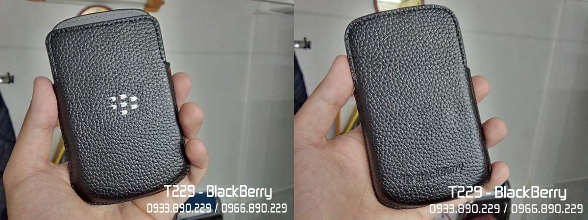 Bao Da Zin - Q10 a-horz.jpg