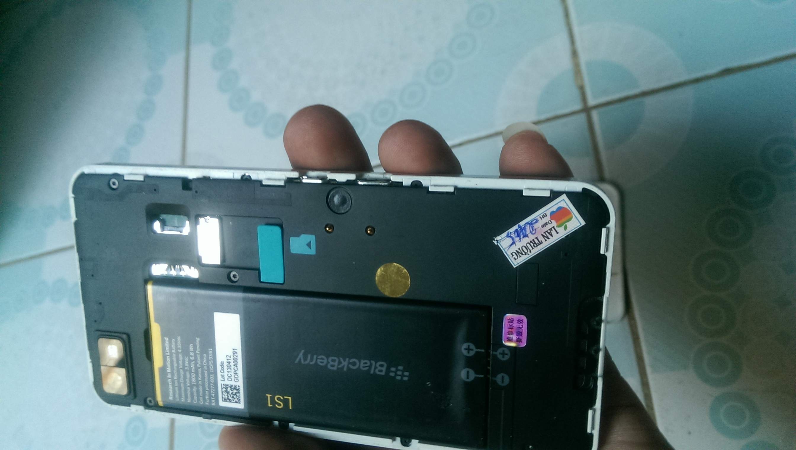 IMAG0398.jpg