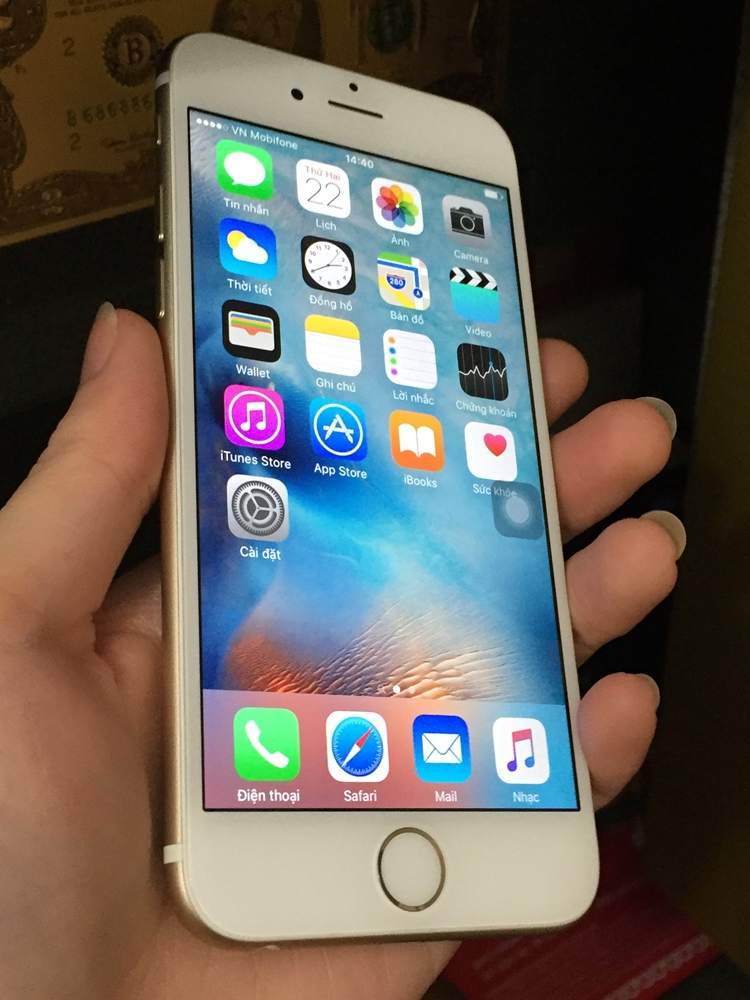 .iP6gold x1 5.JPG