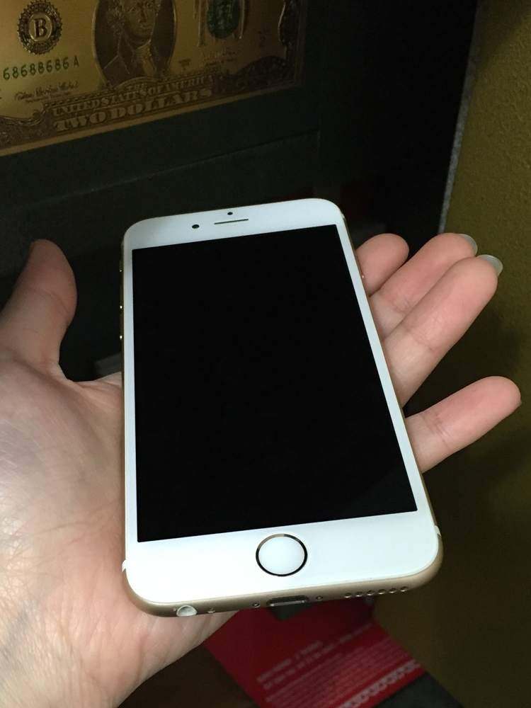 .iP6gold x1 7.JPG