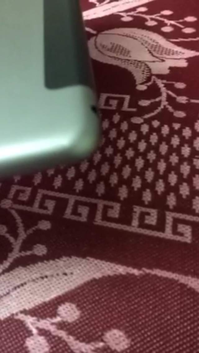 image.jpg