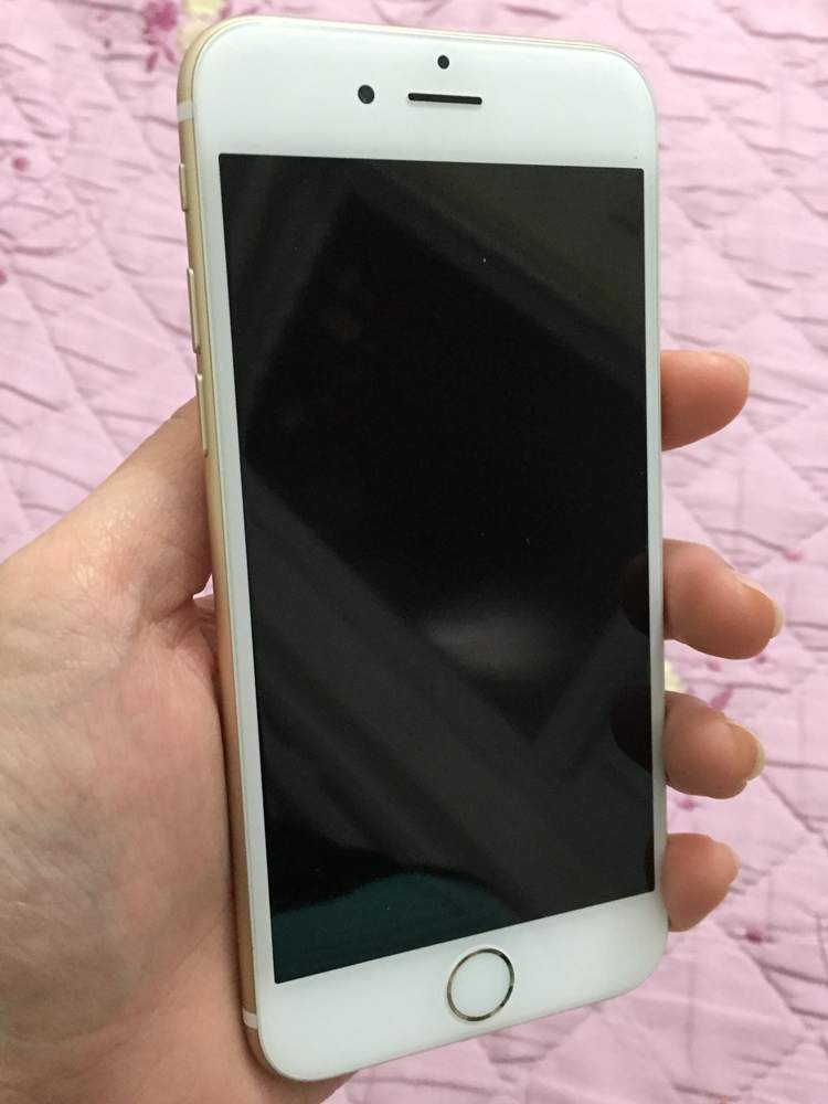 .iP6gold sac 1.JPG