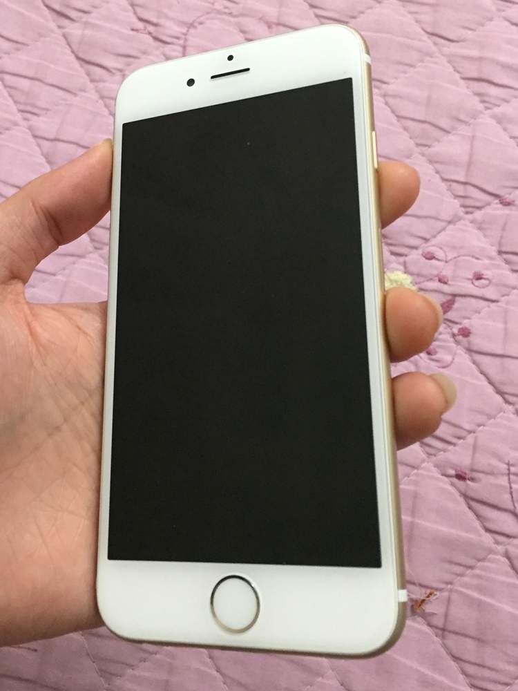 .iP6gold sac 2.JPG