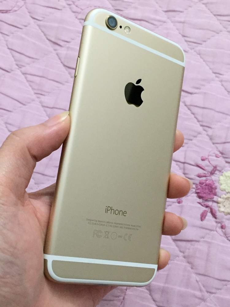 .iP6gold sac 3.JPG