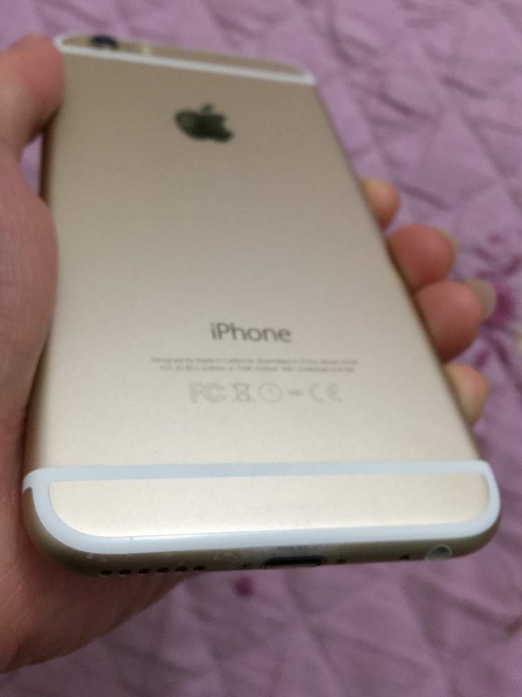 .iP6gold sac 5.JPG