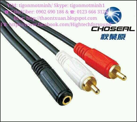 Choseal Cable 3.5 female to 2 RCA male 1m5 Q374.jpg