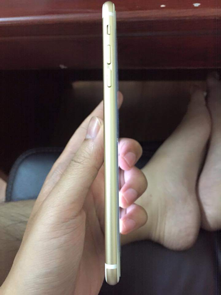 10155047_870649839710909_8204107408811566406_n.jpg
