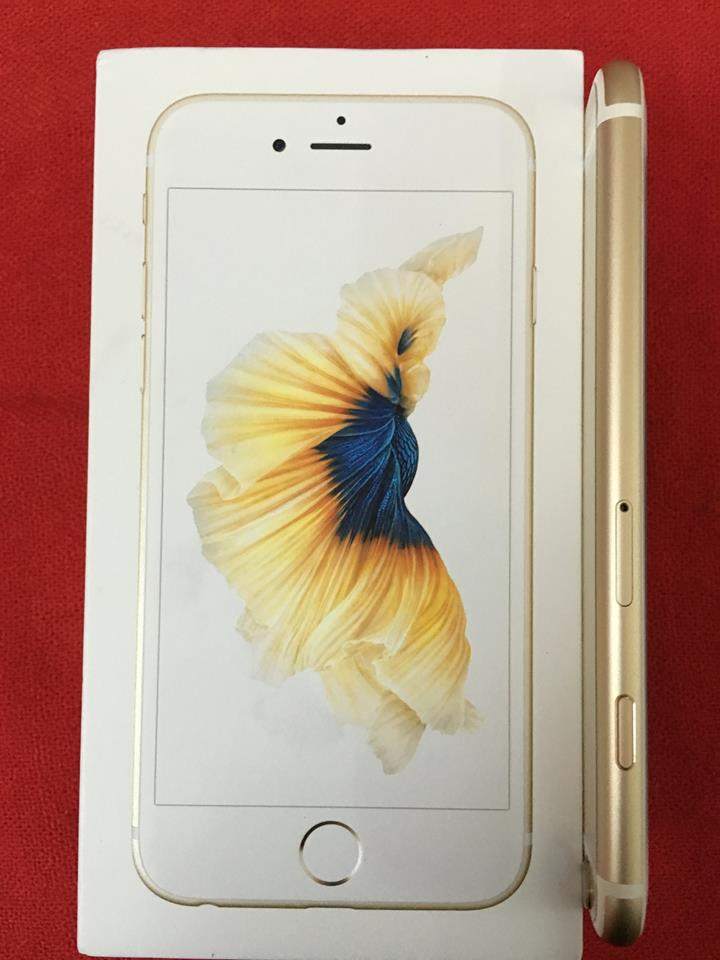 12744508_1147865031891664_8339778102090988045_n.jpg