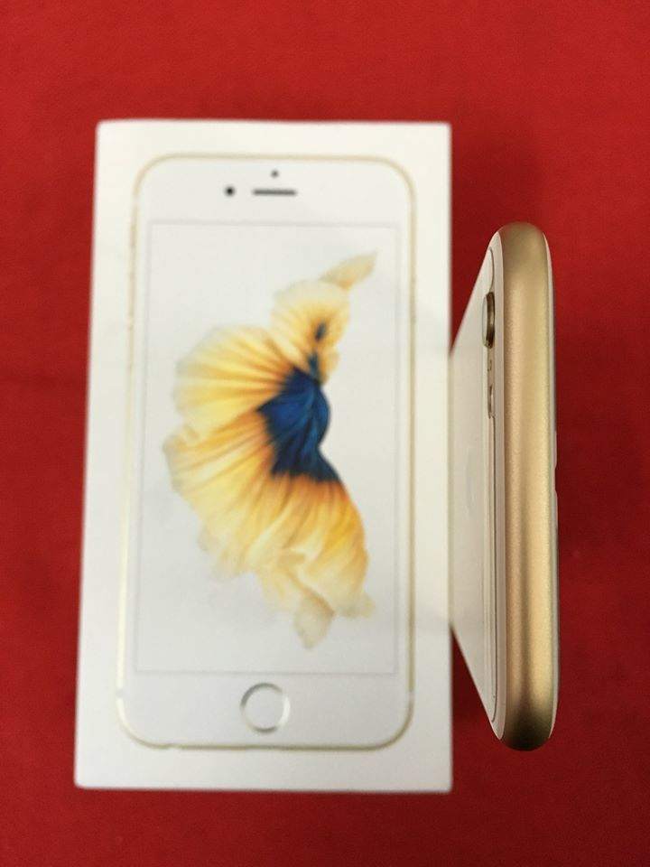 12744644_1147865028558331_6391161806550421201_n.jpg