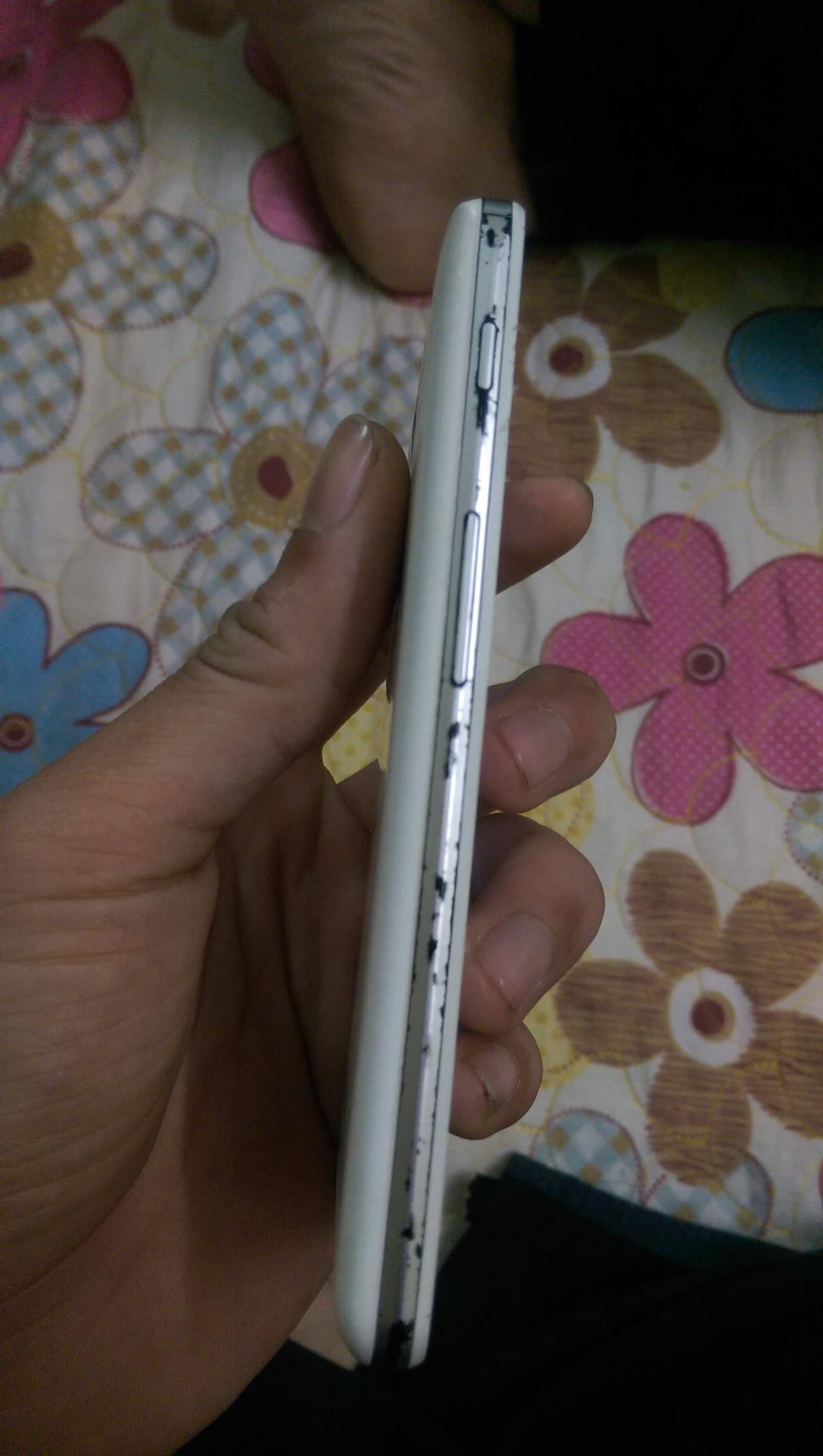 IMAG0135.jpg