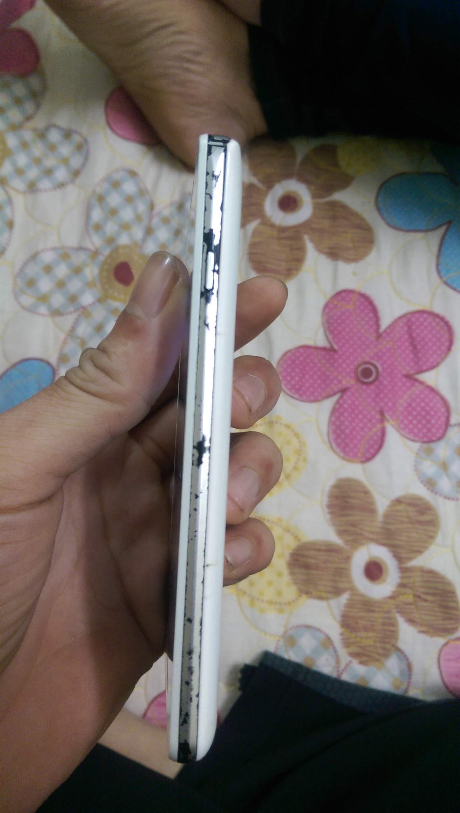 IMAG0133.jpg