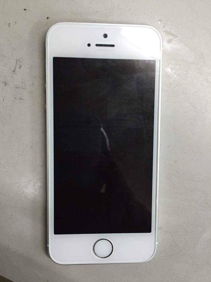 10653311_787825794657463_5487116019934354726_n.jpg