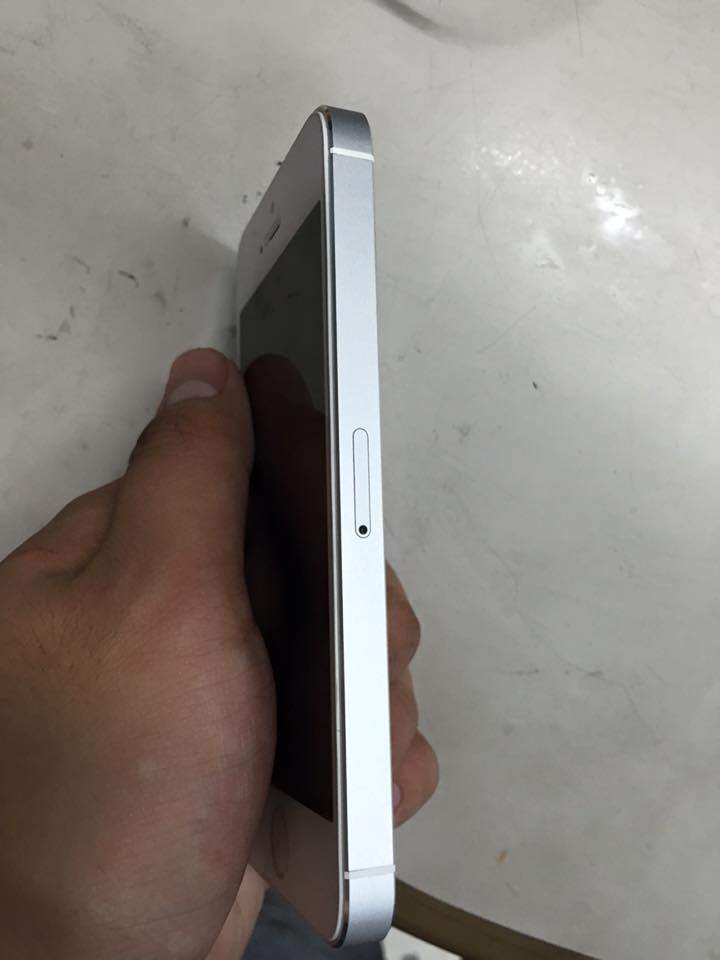 12512279_787825804657462_443933109666550201_n.jpg