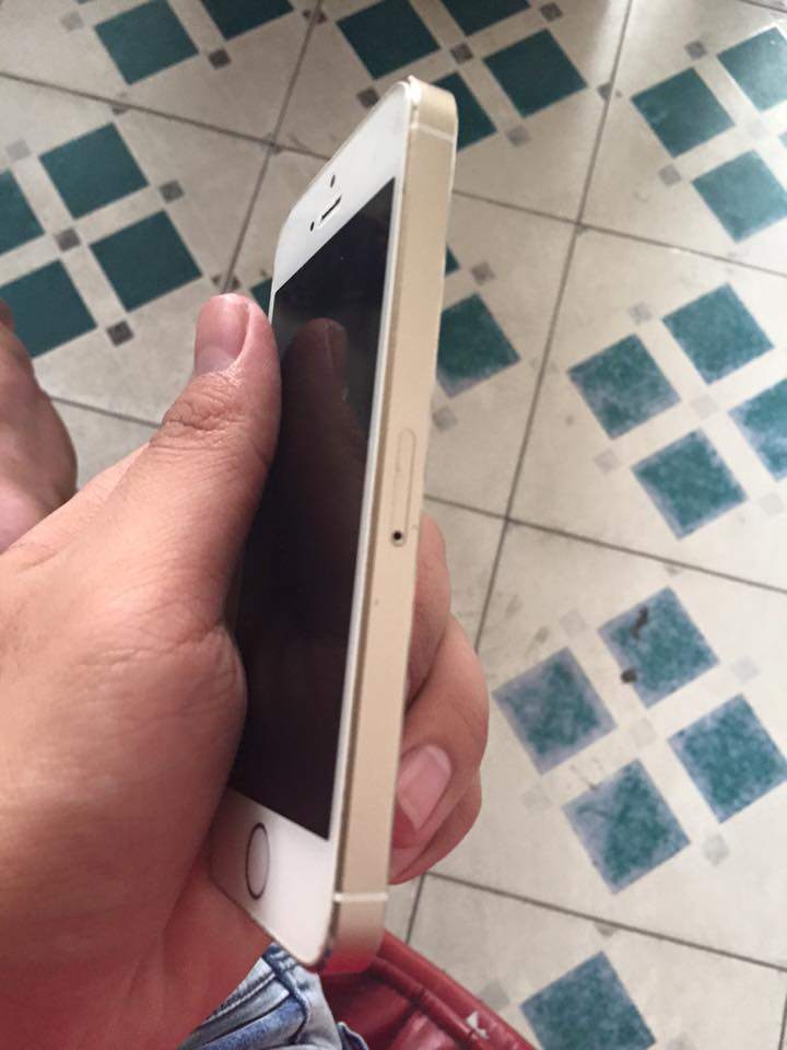 12744625_788692407904135_880824981084769525_n.jpg