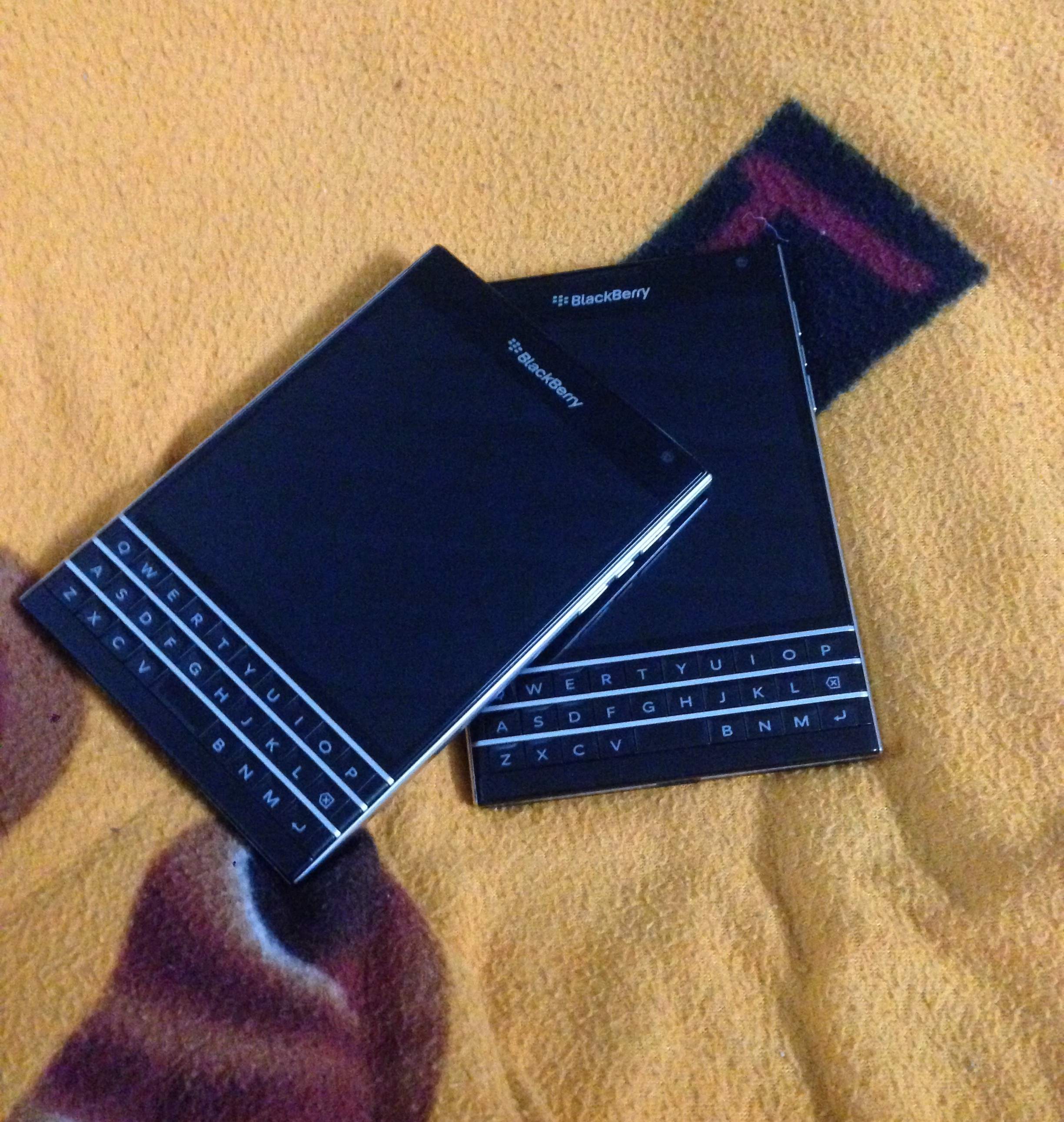 image.jpeg