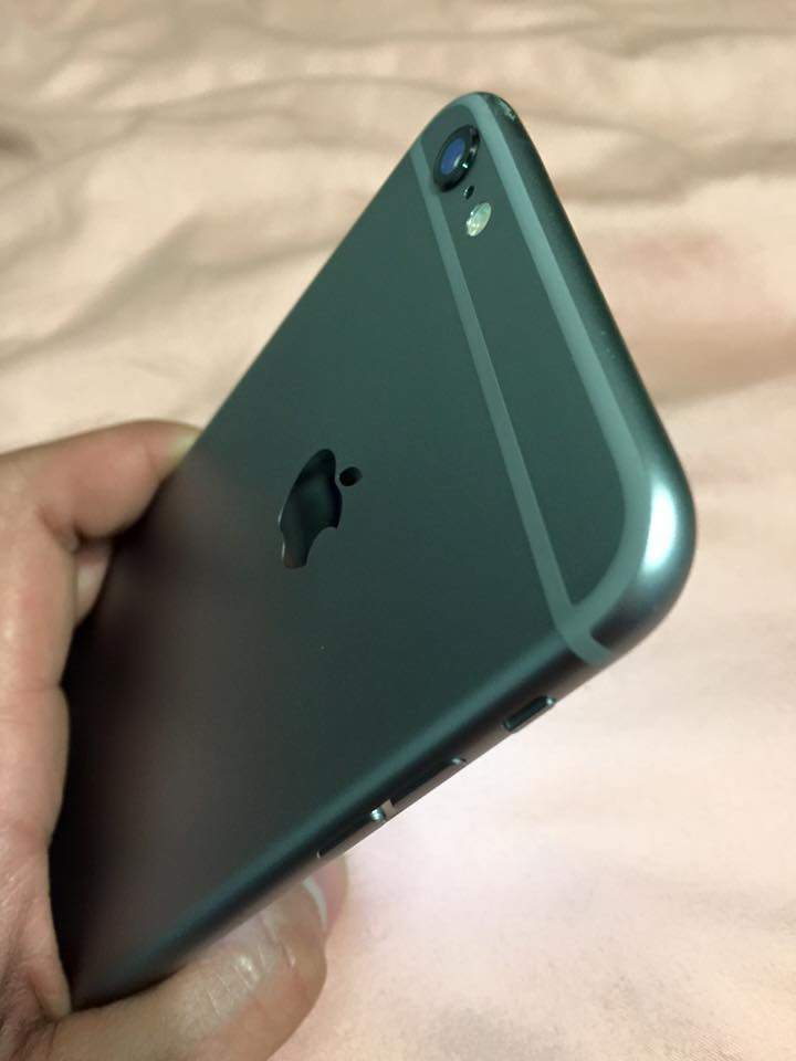 10314032_1335584083134142_552837963978178916_n.jpg