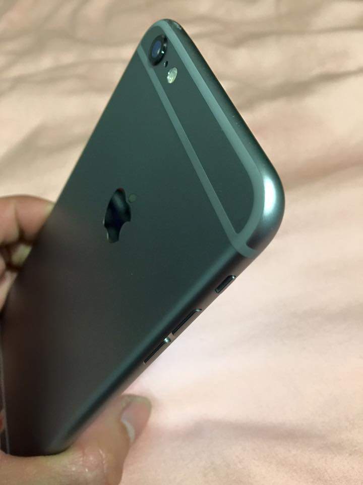 12798876_1335584119800805_6798832379602103873_n.jpg