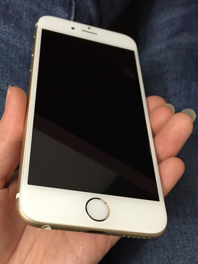 .iP6gold x2 1.JPG