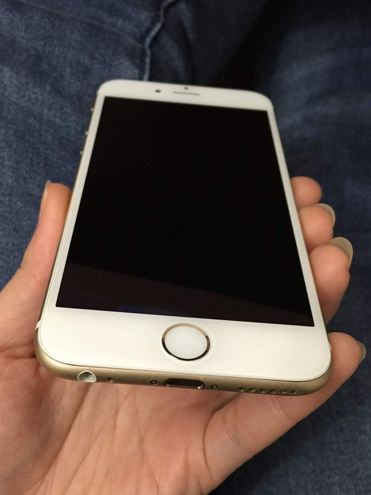 .iP6gold x2 3.JPG