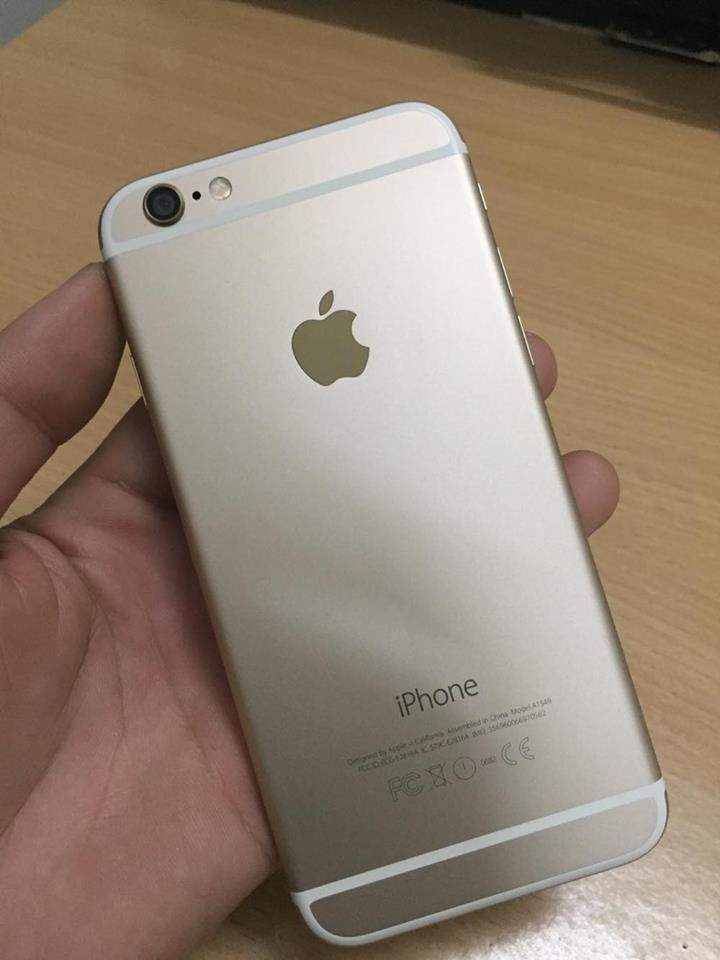 6Gold (2).jpg