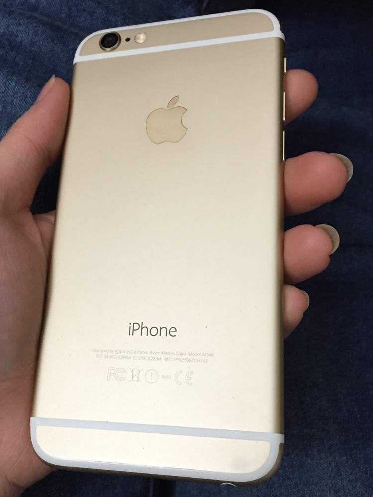 .iP6gold x2 5.JPG