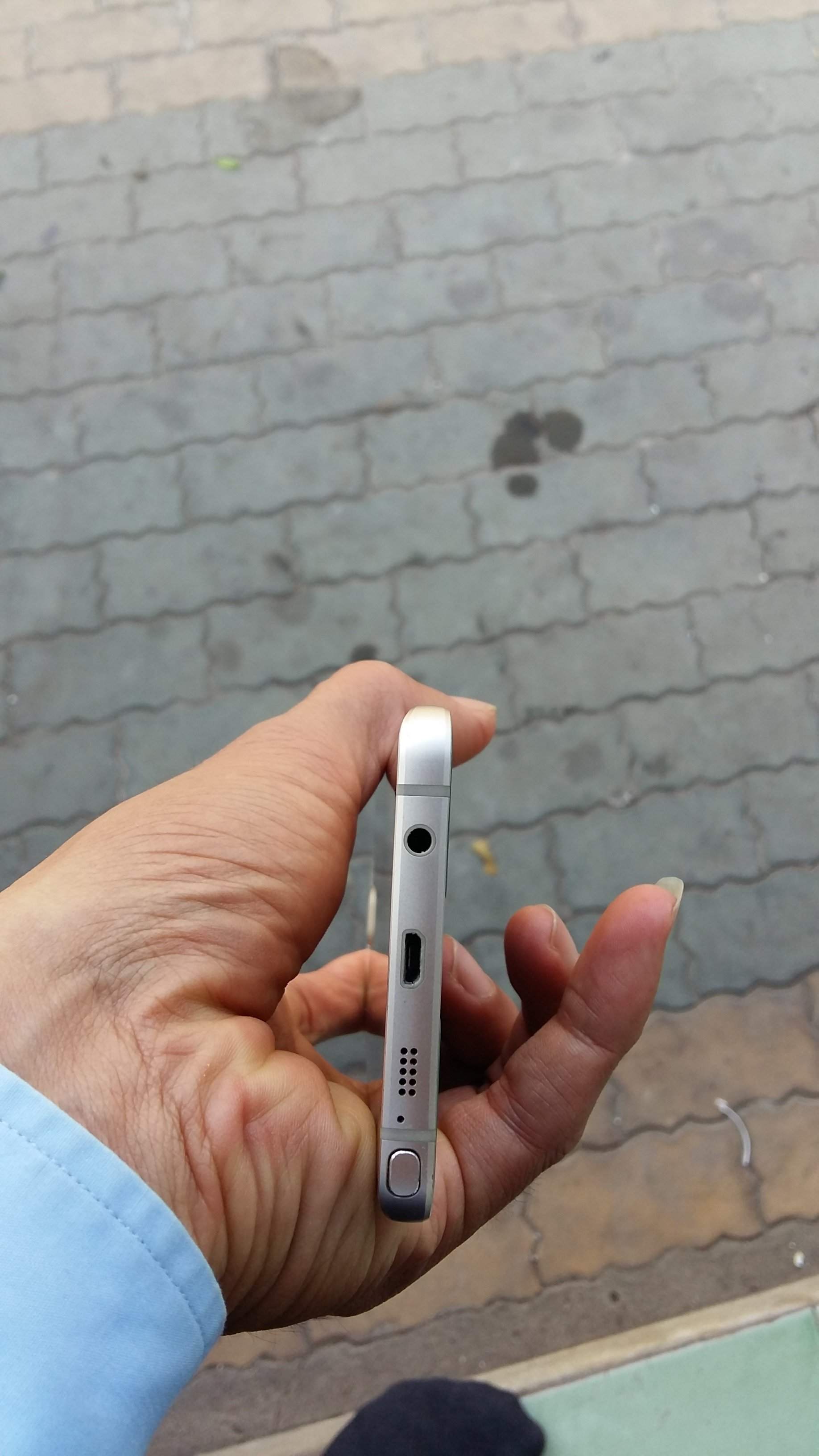 5263525.jpg