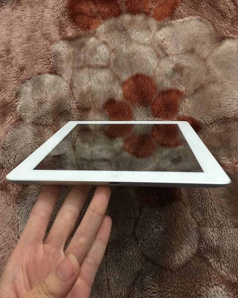 .iPad 4 mop 4.JPG