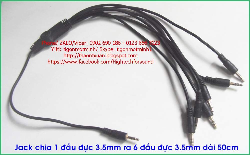 1. Jack chia 1 dau duc 3.5mm ra 6 dau duc 3.5mm dai 50cm.jpg