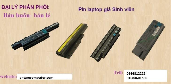 pin.jpg
