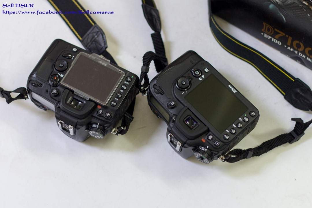 IMG_0004 (Custom).jpg