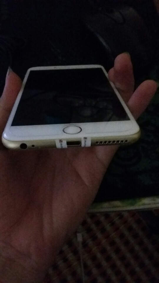 1458399951916_3522.jpg
