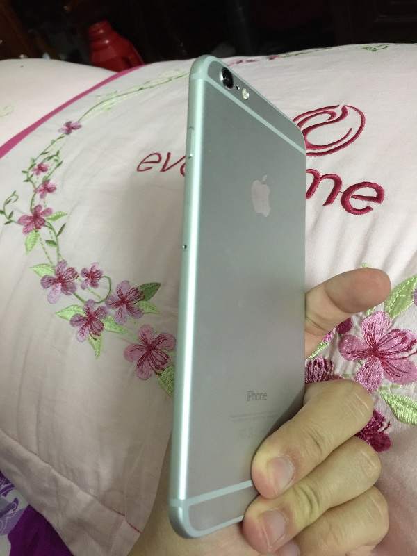 5453623_1141bb435578a02c5c15fc354ad05d5a - Copy.JPG